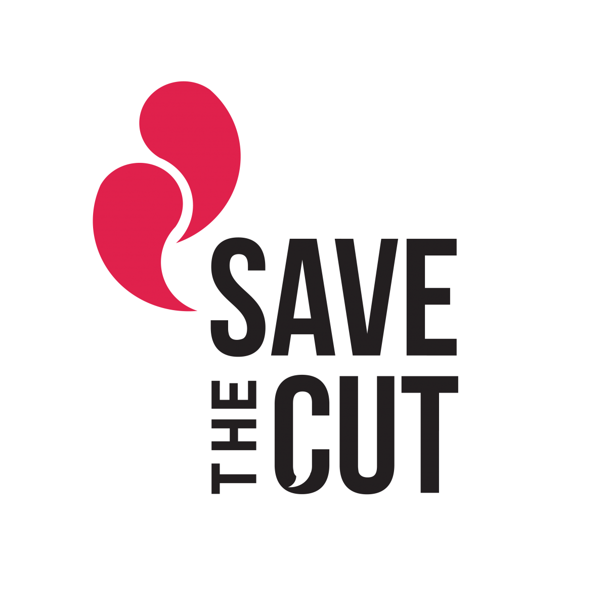 Logo-Save-the-Cut-s.r.l.